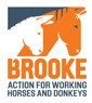 Brooke Action for Working Horses and Donkeys